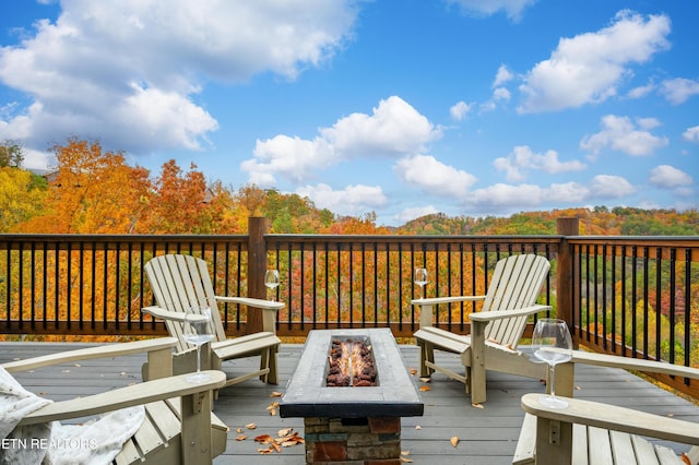 1167 Woodland Trek Ln, Sevierville, TN 37876 - photo 60