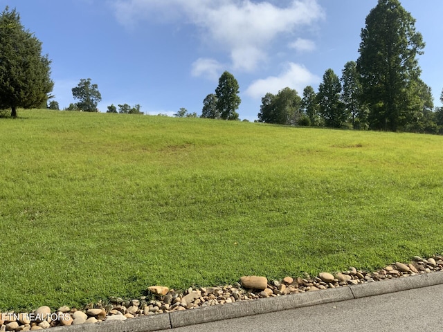 156 Enclave Way, Kingston, TN 37763 - photo 3