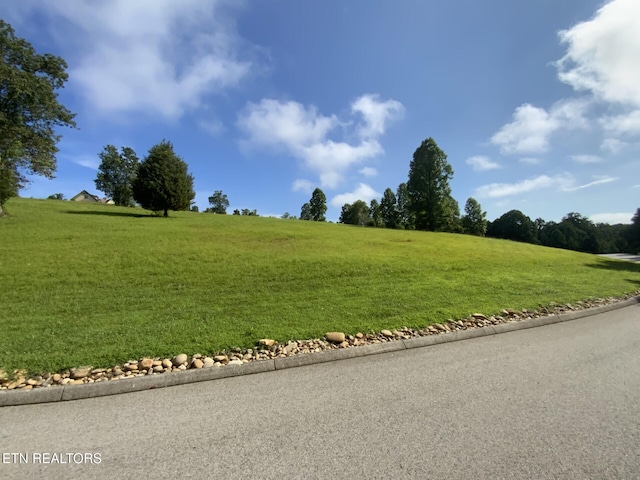 156 Enclave Way, Kingston, TN 37763 - photo 1