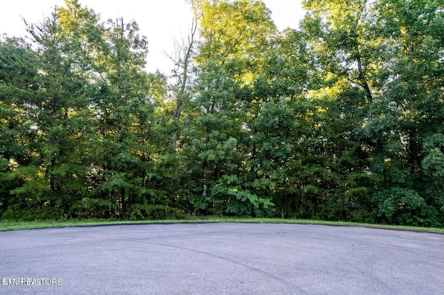 104 Ultra Way, Friendsville, TN 37737 - photo 2