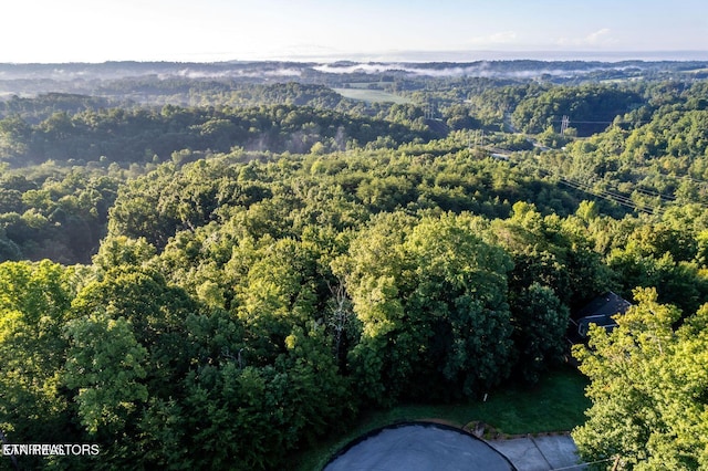 104 Ultra Way, Friendsville, TN 37737 - photo 1