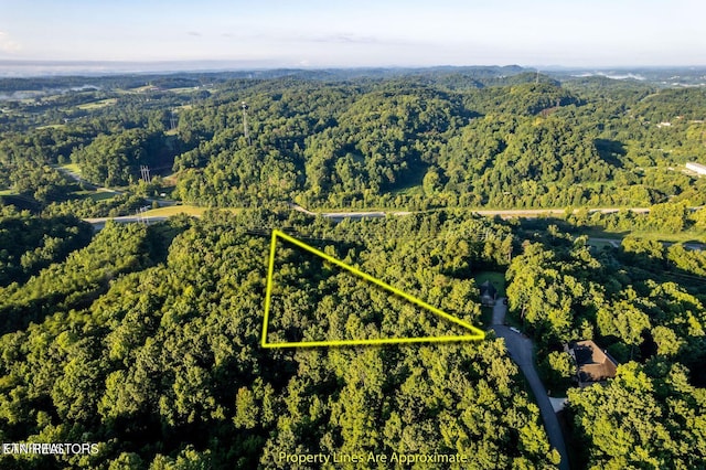 104 Ultra Way, Friendsville, TN 37737 - photo 4