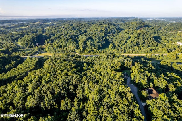 104 Ultra Way, Friendsville, TN 37737 - photo 5