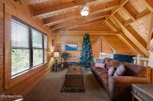 2307 Hollow Branch Way, Sevierville, TN 37862 - photo 22