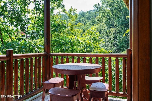 2307 Hollow Branch Way, Sevierville, TN 37862 - photo 48