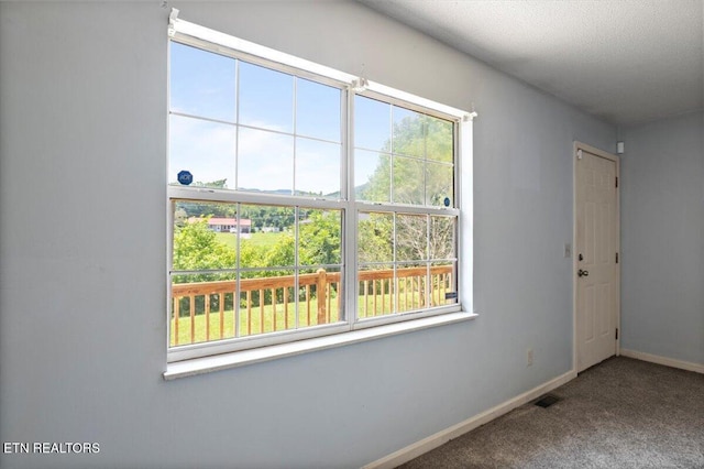 546 Park Rd, Caryville, TN 37714 - carpeted empty room with plenty of natural light