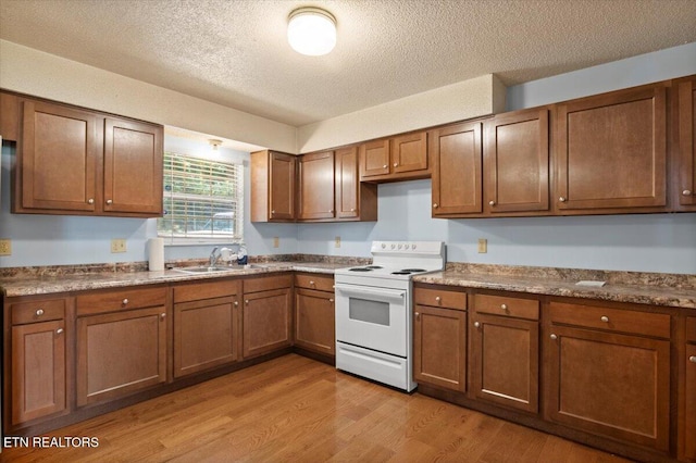 546 Park Rd, Caryville, TN 37714 - kitchen with white range with electric stovetop, light wood-type flooring, a textured ceiling, and brown cabinets