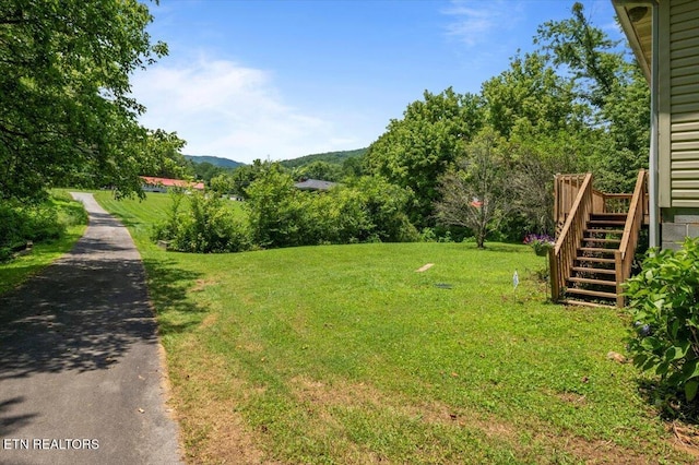 546 Park Rd, Caryville, TN 37714 - view of green lawn featuring stairs