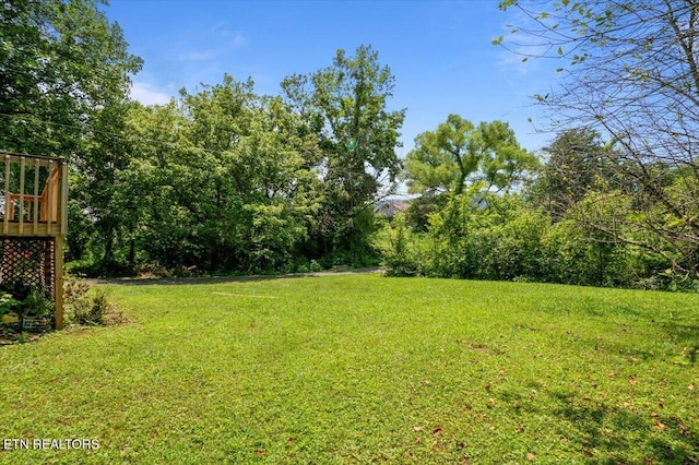 546 Park Rd, Caryville, TN 37714 - view of grassy yard featuring a wooden deck