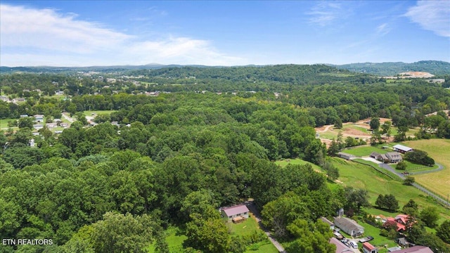 546 Park Rd, Caryville, TN 37714 - aerial view of a forest
