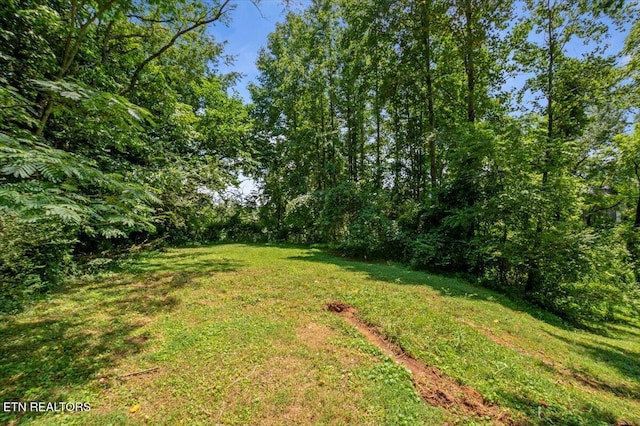 546 Park Rd, Caryville, TN 37714 - view of green lawn with a forest view