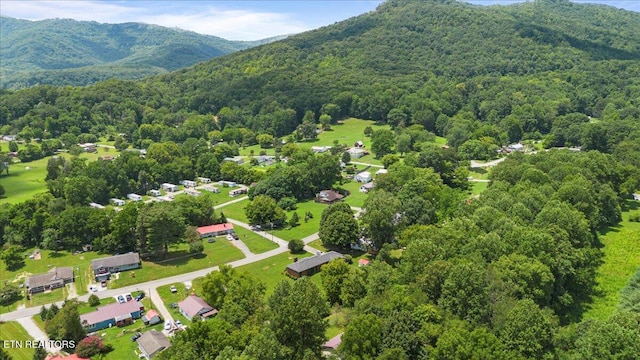 546 Park Rd, Caryville, TN 37714 - bird's eye view of a heavily wooded area and a mountainous background