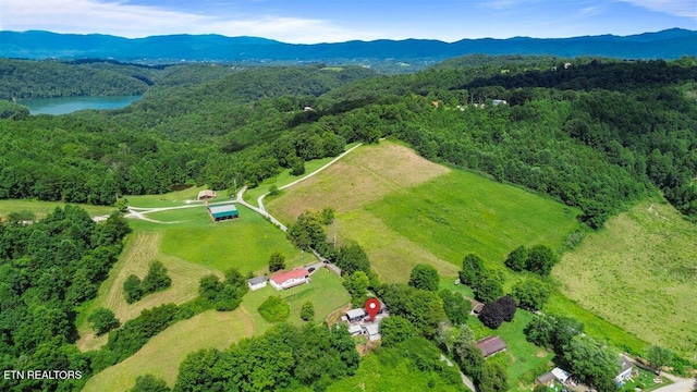 127 Stevens Ln, Lafollette, TN 37766 - photo 14