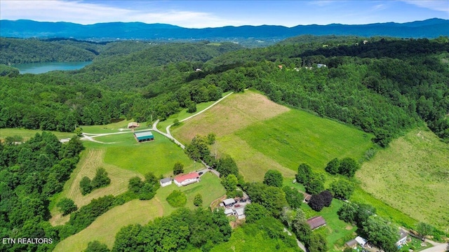 127 Stevens Ln, Lafollette, TN 37766 - photo 36