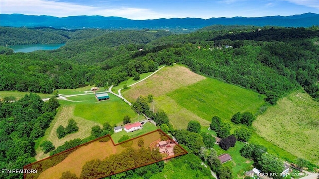 127 Stevens Ln, Lafollette, TN 37766 - photo 2