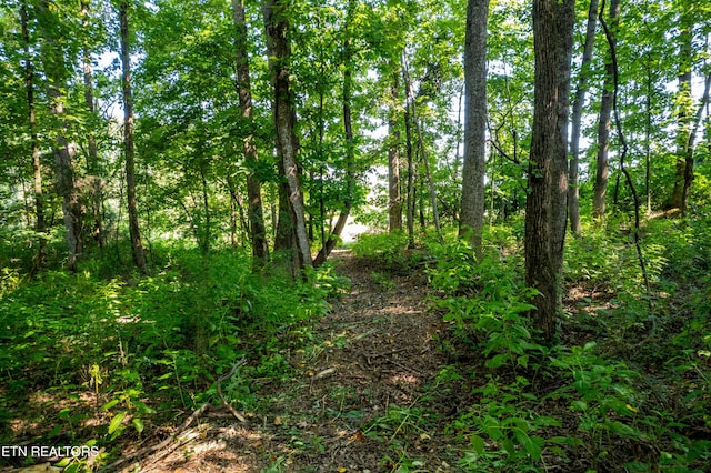 6149 Janeway Rd, Maryville, TN 37801 - photo 4