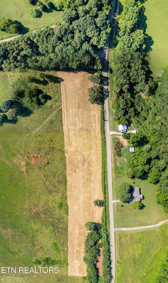 6149 Janeway Rd, Maryville, TN 37801 - photo 5