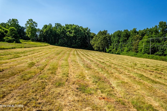 6149 Janeway Rd, Maryville, TN 37801 - photo 6