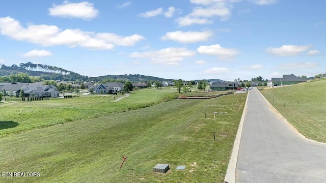 2920 Chestnut Ln, Loudon, TN 37774 - photo 2