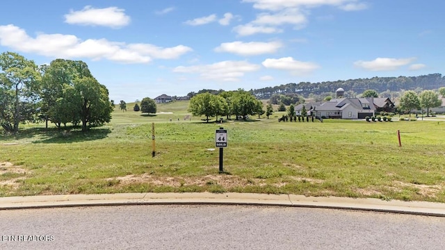 2920 Chestnut Ln, Loudon, TN 37774 - photo 4