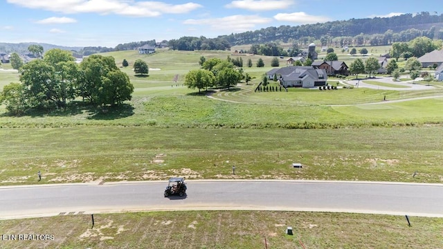 2920 Chestnut Ln, Loudon, TN 37774 - photo 5