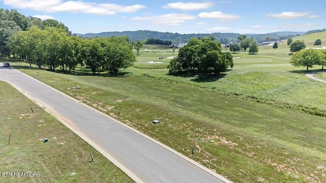 2920 Chestnut Ln, Loudon, TN 37774 - photo 6
