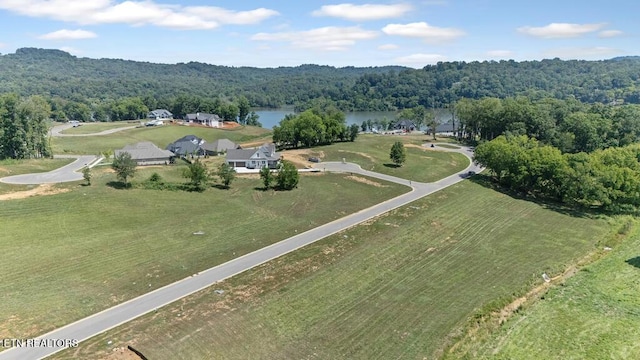 2920 Chestnut Ln, Loudon, TN 37774 - photo 1