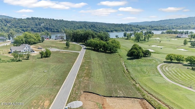 2920 Chestnut Ln, Loudon, TN 37774 - photo 7