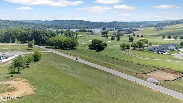 2920 Chestnut Ln, Loudon, TN 37774 - photo 9