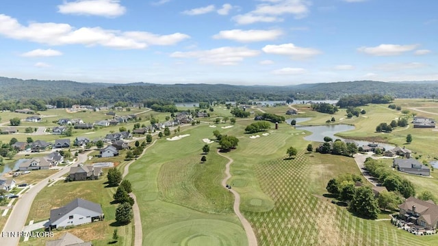 2920 Chestnut Ln, Loudon, TN 37774 - photo 11