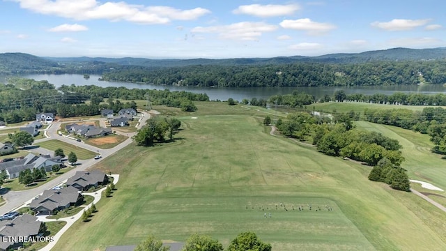 2920 Chestnut Ln, Loudon, TN 37774 - photo 14