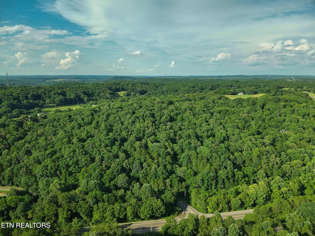 150 Clear Branch Rd, Loudon, TN 37774 - photo 4