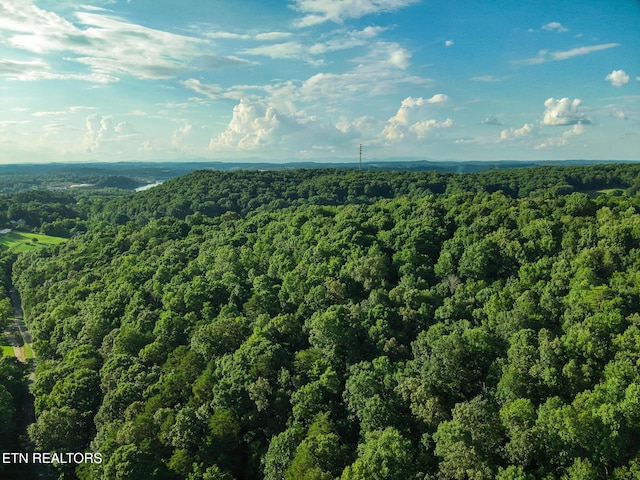 150 Clear Branch Rd, Loudon, TN 37774 - photo 6