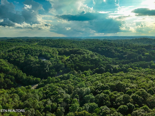 150 Clear Branch Rd, Loudon, TN 37774 - photo 8