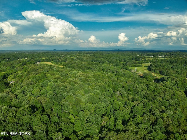 150 Clear Branch Rd, Loudon, TN 37774 - photo 9