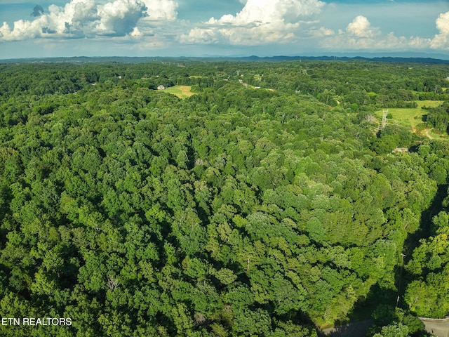 150 Clear Branch Rd, Loudon, TN 37774 - photo 7