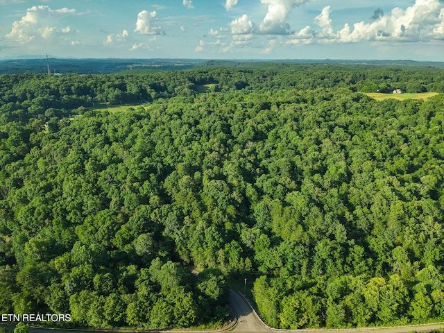 150 Clear Branch Rd, Loudon, TN 37774 - photo 11