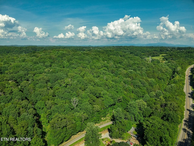 150 Clear Branch Rd, Loudon, TN 37774 - photo 5