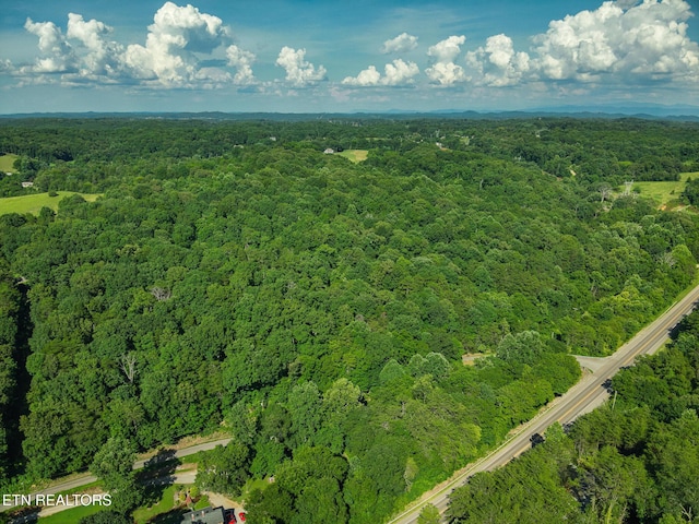 150 Clear Branch Rd, Loudon, TN 37774 - photo 12