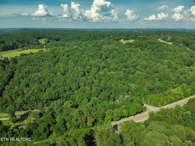 150 Clear Branch Rd, Loudon, TN 37774 - photo 13