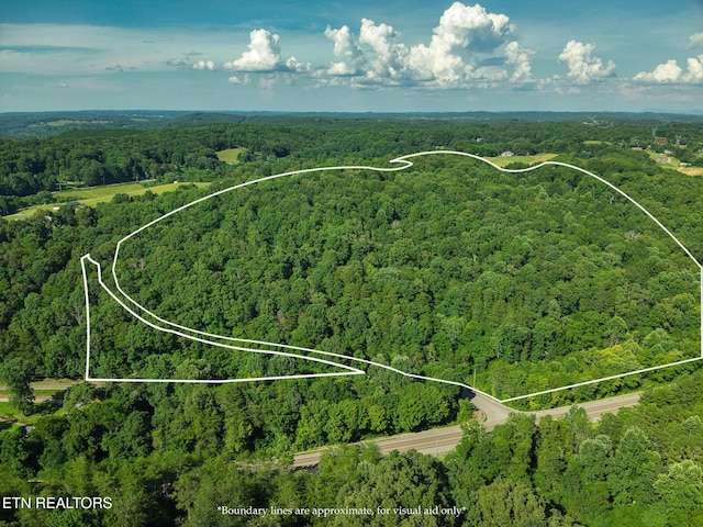 150 Clear Branch Rd, Loudon, TN 37774 - photo 1