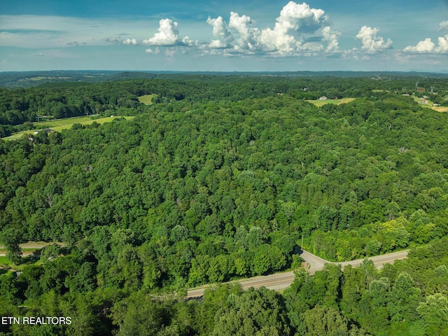 150 Clear Branch Rd, Loudon, TN 37774 - photo 14