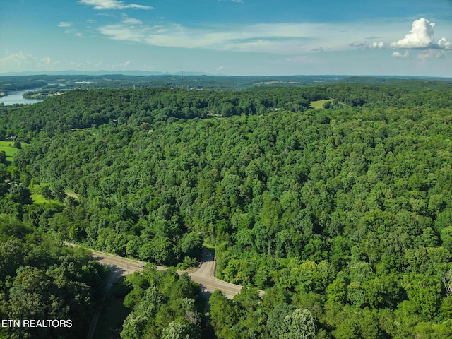 150 Clear Branch Rd, Loudon, TN 37774 - photo 15