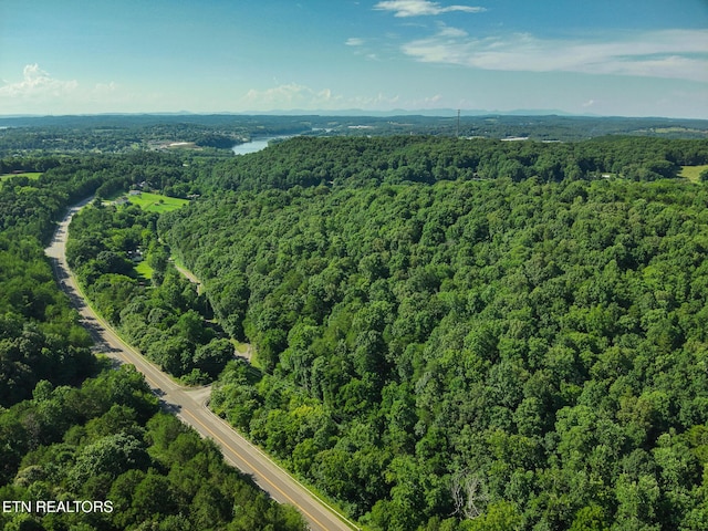150 Clear Branch Rd, Loudon, TN 37774 - photo 3