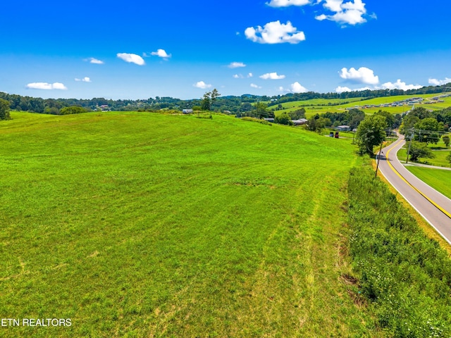 6031 Lakeshore Dr, Bean Station, TN 37708 - photo 3