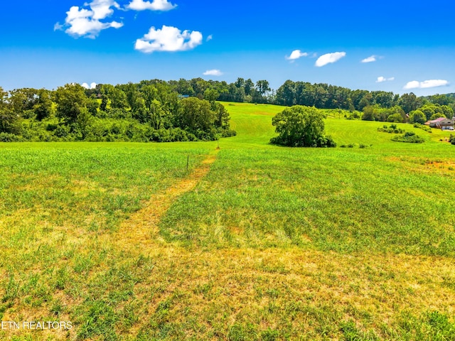 6031 Lakeshore Dr, Bean Station, TN 37708 - photo 4