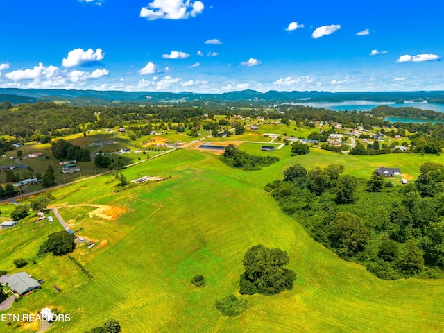 6031 Lakeshore Dr, Bean Station, TN 37708 - photo 8