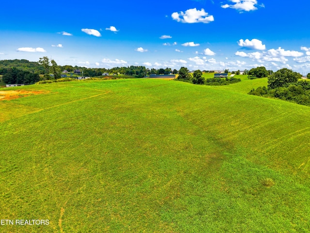 6031 Lakeshore Dr, Bean Station, TN 37708 - photo 9