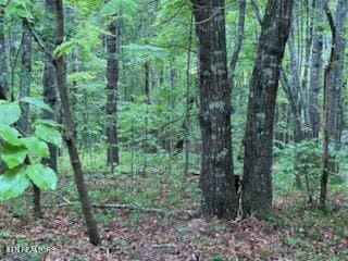 18 Golden Cir, Fairfield Glade, TN 38558 - photo 1