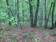 18 Golden Cir, Fairfield Glade, TN 38558 - photo 4